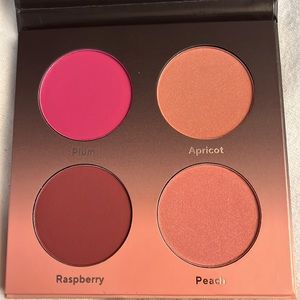 Shades by Shan The Blush Palette